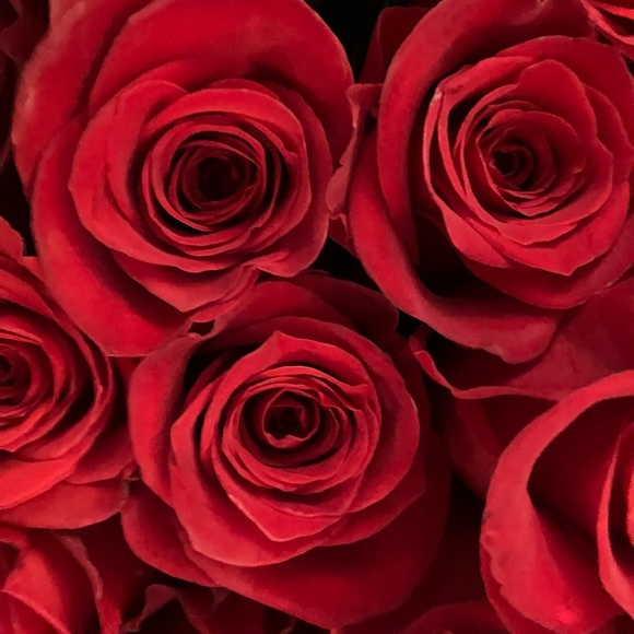 Meet your Posher, June - Picture 10 of 15